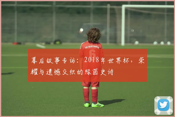 幕后故事专访:2018年世界杯,荣耀与遗憾交织的绿茵史诗