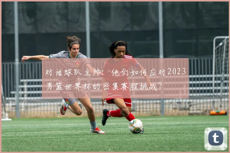 对话球队主帅:他们如何应对2023男篮世界杯的密集赛程挑战?