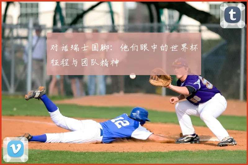 对话瑞士国脚:他们眼中的世界杯征程与团队精神