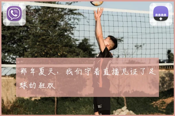 那年夏天，我们守着直播见证了足球的狂欢