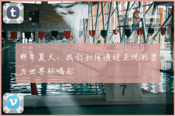 那年夏天，我们如何通过正规彩票为世界杯喝彩