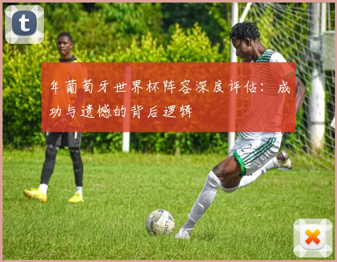 年葡萄牙世界杯阵容深度评估:成功与遗憾的背后逻辑