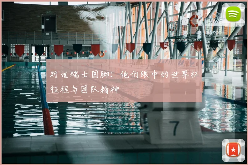 对话瑞士国脚:他们眼中的世界杯征程与团队精神