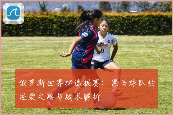 俄罗斯世界杯选拔赛:黑马球队的逆袭之路与战术解析