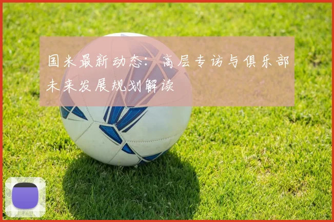 国米最新动态：高层专访与俱乐部未来发展规划解读