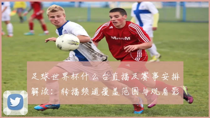 足球世界杯什么台直播及赛事安排解读:转播频道覆盖范围与观看影响