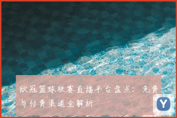 欧冠篮球联赛直播平台盘点:免费与付费渠道全解析
