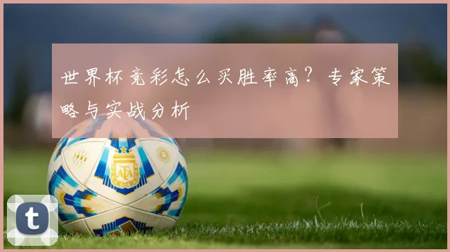 世界杯竞彩怎么买胜率高？专家策略与实战分析