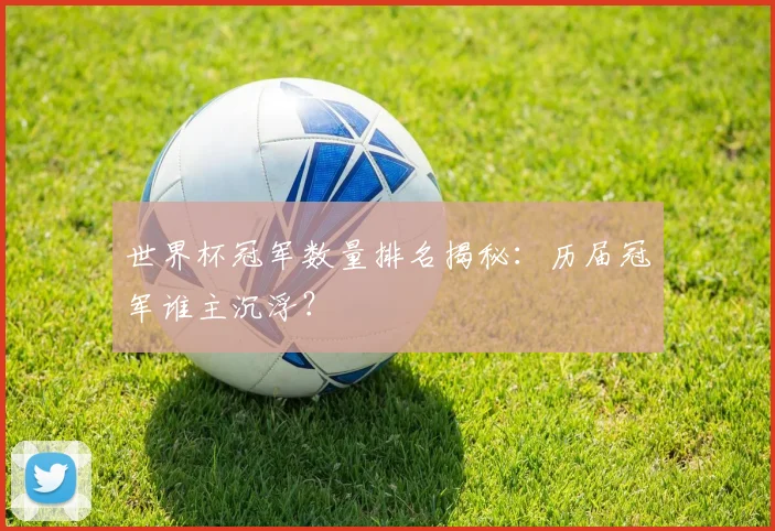 世界杯冠军数量排名揭秘：历届冠军谁主沉浮？