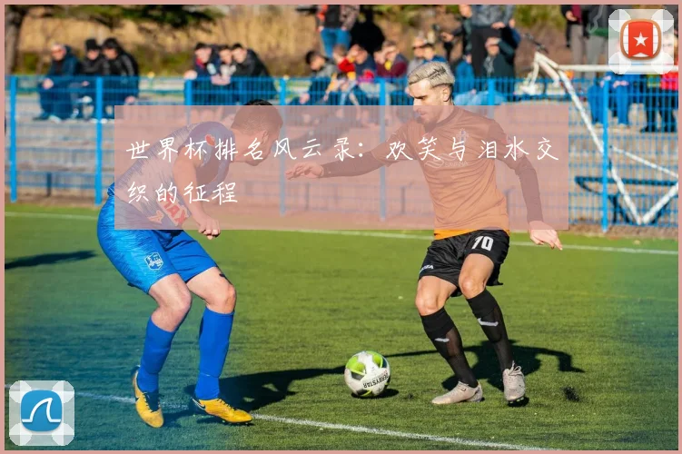 世界杯排名风云录：欢笑与泪水交织的征程